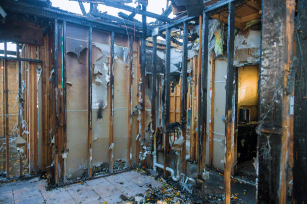 Professional Fire Damage Removal technician working in White Center, WA